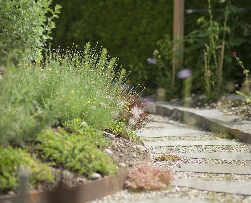 Staudenbeet am Gartenweg mit blühenden Pflanzen