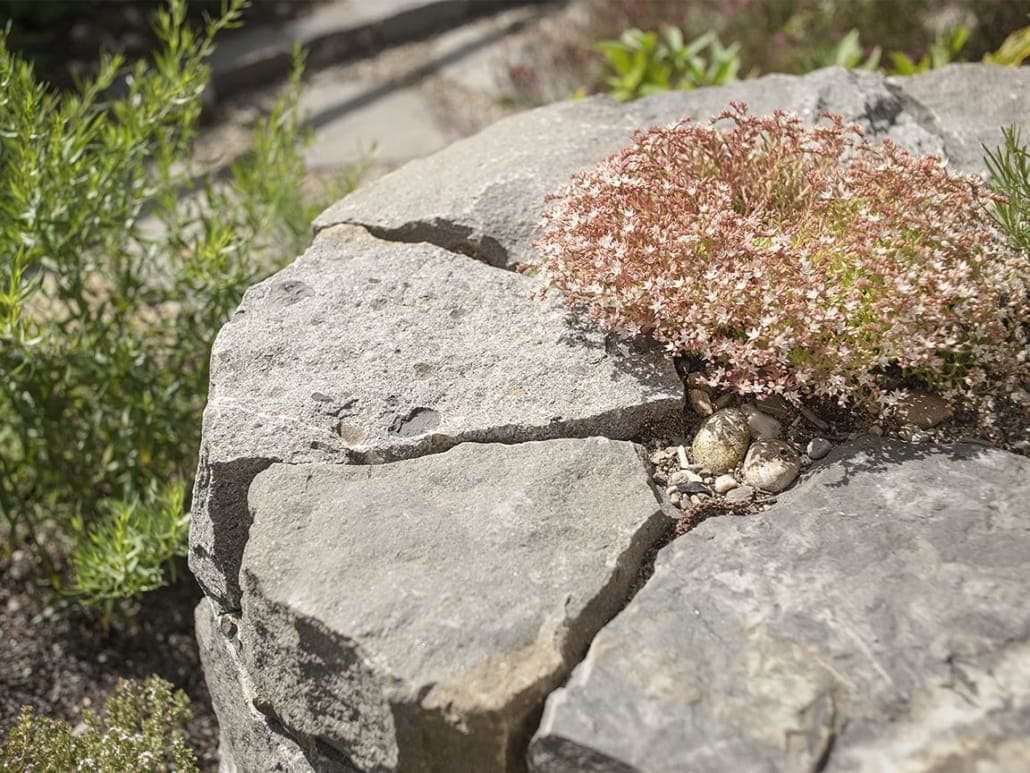 Gartengestaltung Herzog – Referenzprojekt