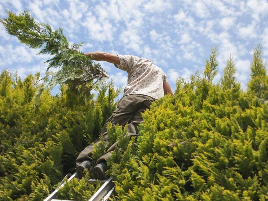 Gartengestaltung Herzog – Referenzprojekt