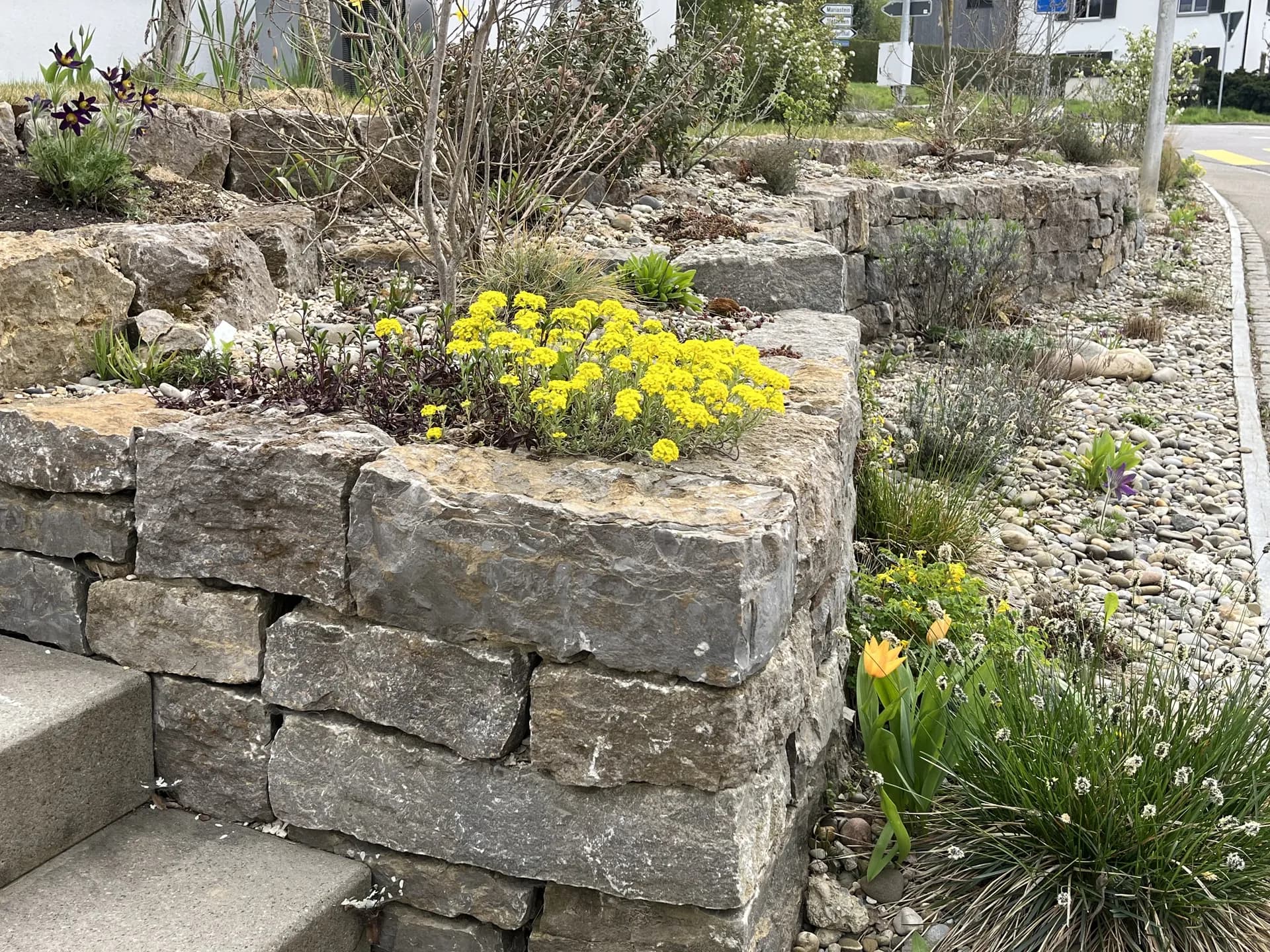 Trockensteinmauer-Hochbeet mit blühender Bepflanzung